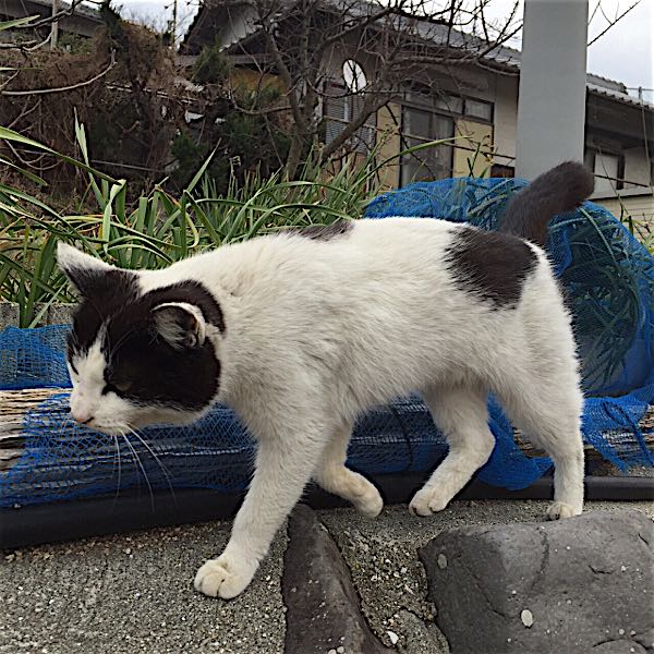 rblog-20160327192436-00.jpg