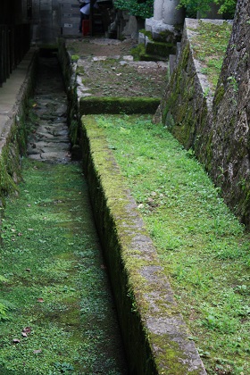 IMG_9398.JPG