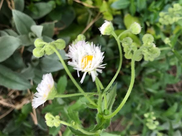 rblog-20190423182540-07.jpg