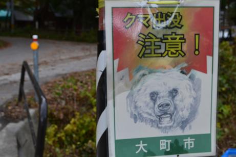 熊注意報.jpg