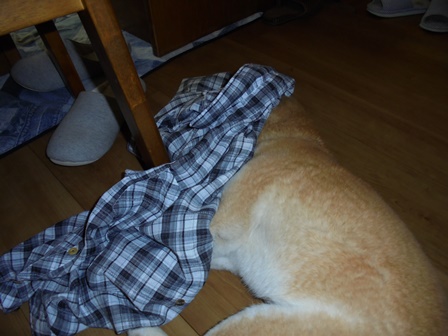 DSC01126.JPG