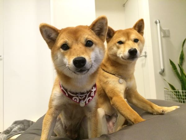 rblog-20160226225950-01.jpg