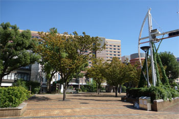 九州814.jpg