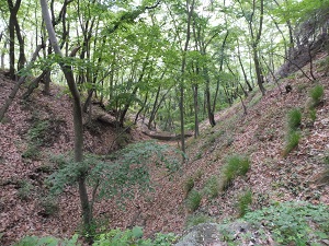P1020812.JPG