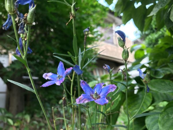 rblog-20180628171900-05.jpg