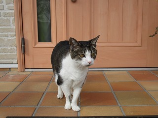 IMG_4669ss.jpg
