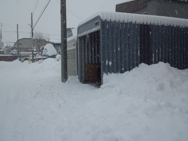 2012.12.2朝.jpg