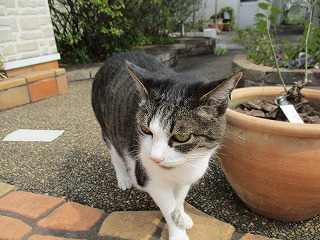 IMG_8654ss.jpg