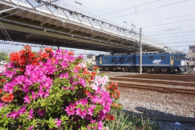 EF64 1049 JRF広島色牽引 鹿島貨物 & DE10 1704牽引 西那須チキ工臨3