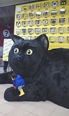 PA0_0023.JPG