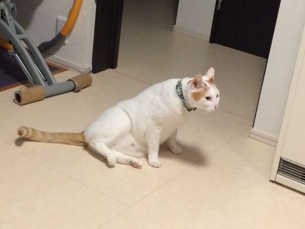 rblog-20150618062601-02.jpg