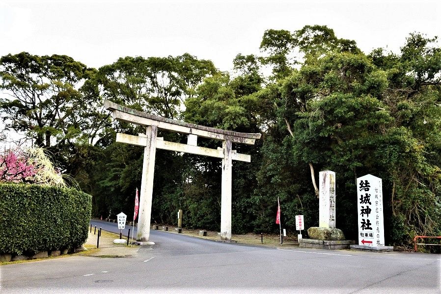 結城神社の梅まつり 続き むくのブログ 楽天ブログ