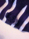 2013-02-15 11:29:13