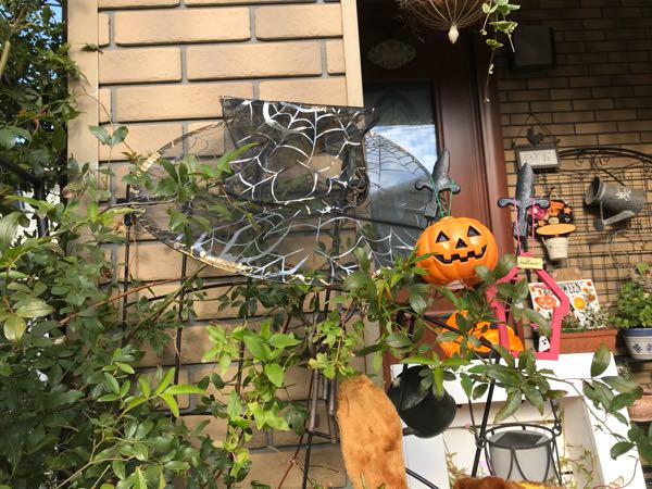 rblog-20181103151634-05.jpg