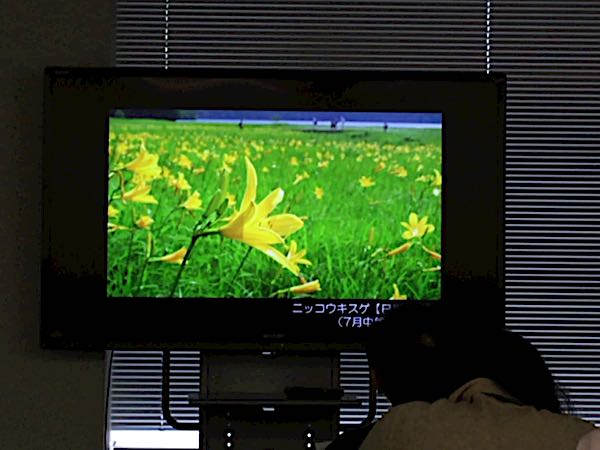 rblog-20170326135921-07.jpg