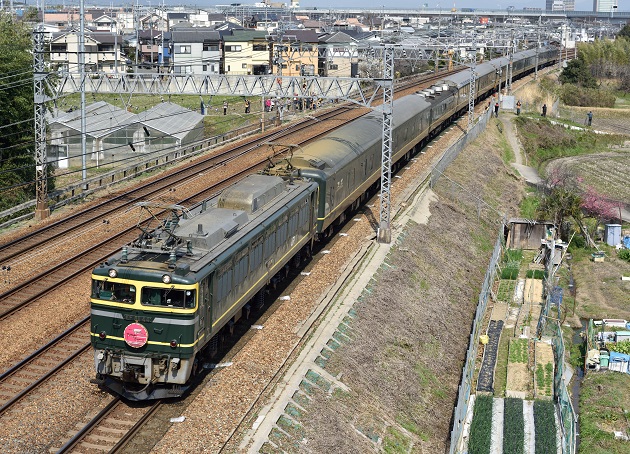 EF81-44 2015.03.13 8002レ.jpg