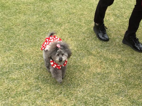 rblog-20160410192056-03.jpg