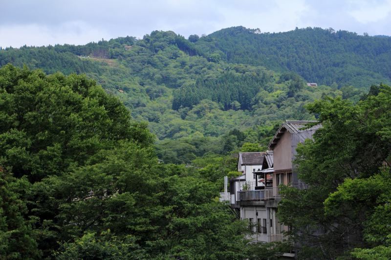 吉野山の紫陽花_02.jpg