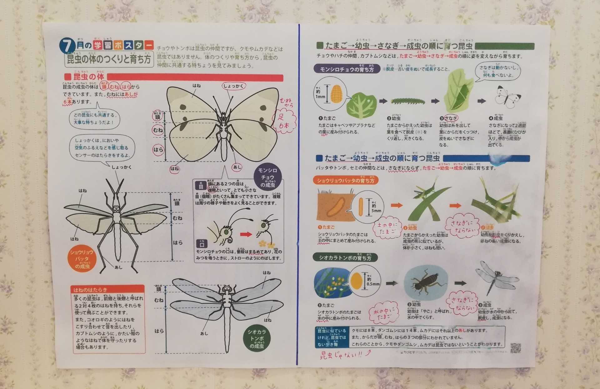 興味がある時が学ぶチャンス 知育大好き教育ママ オススメ教材と朝学習 楽天ブログ