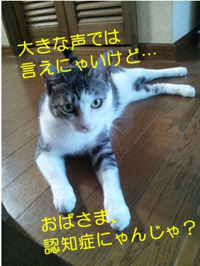 20120828_3.jpg