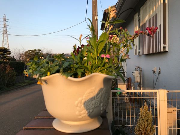 rblog-20180325184635-09.jpg