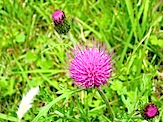 IMG_2576.JPG