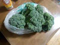 rblog-20130320213937-04.png