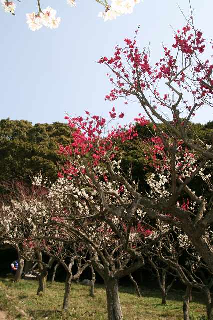 IMG_6873.jpg