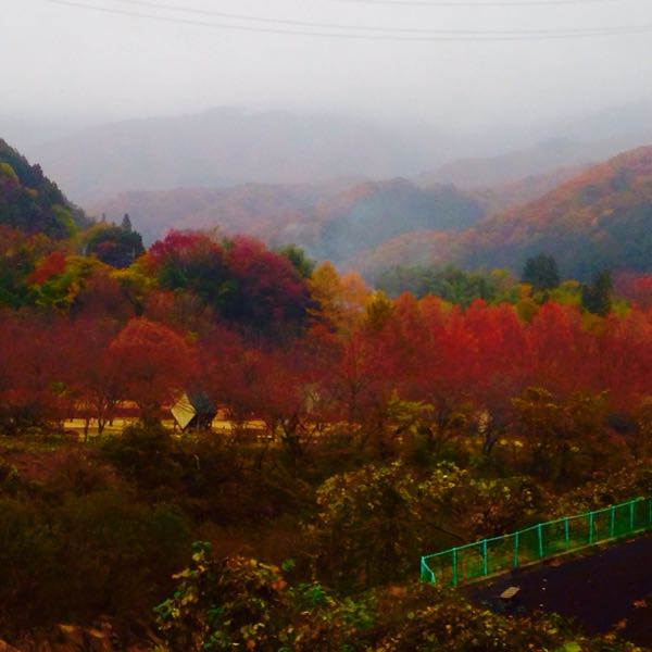 rblog-20141112114214-06.jpg