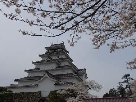 20130423鶴ヶ城と桜.jpg