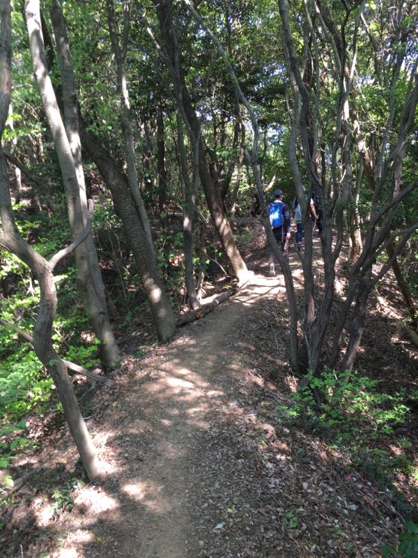 rblog-20160430204656-02.jpg