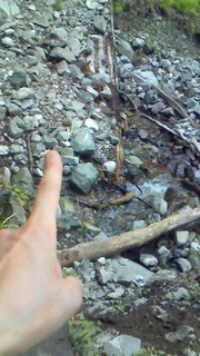 201206101256000.jpg