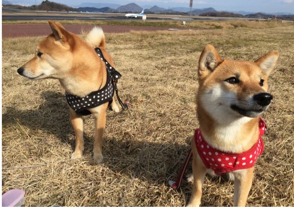 rblog-20160123122814-02.jpg
