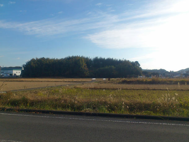 s097.jpg