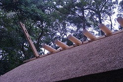 DSC_2139.jpg