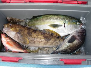 DSCN4751.JPG