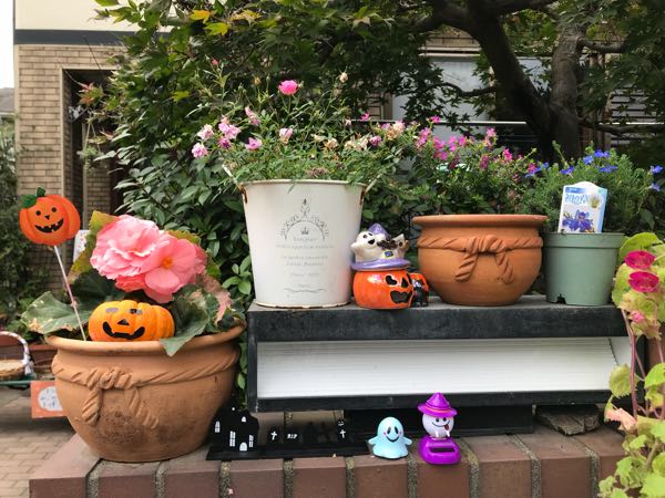 rblog-20181104175945-04.jpg