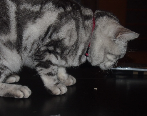 PA042998.JPG