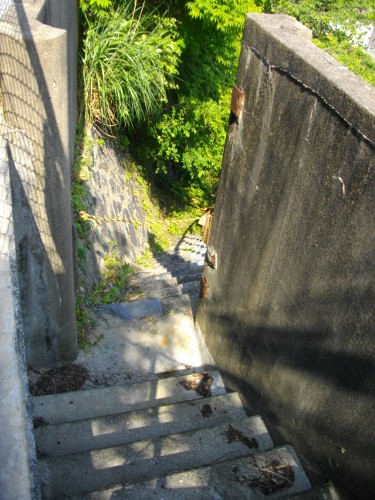 大津島石段 (375x500).jpg