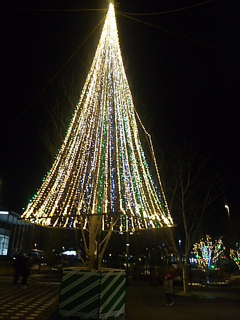 281210ツリー.JPG