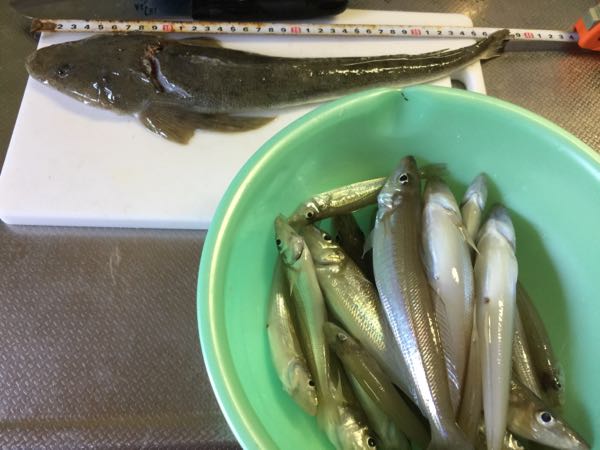 rblog-20150612112414-01.jpg