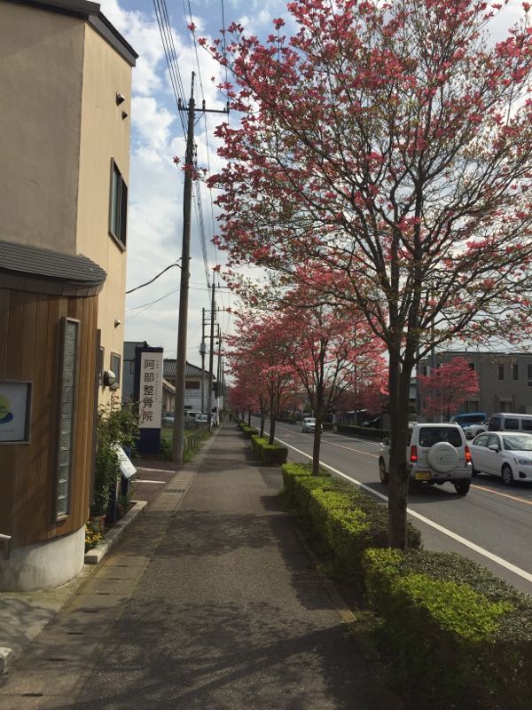 rblog-20150422145013-02.jpg