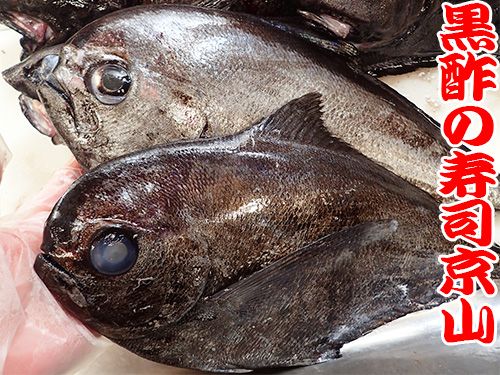 相模湾の深海魚が到着です 宅配寿司 黒酢の寿司京山 楽天ブログ