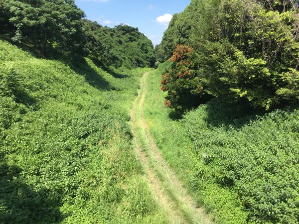 rblog-20170903081205-00.jpg