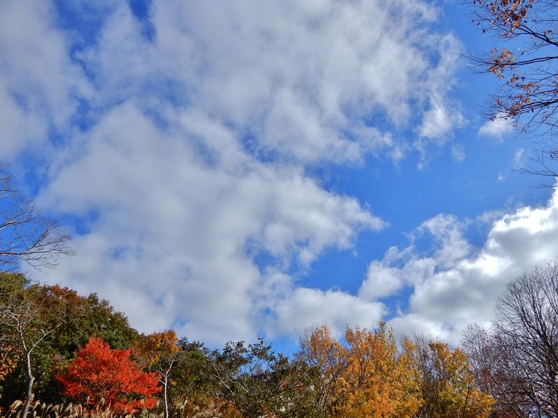 空2