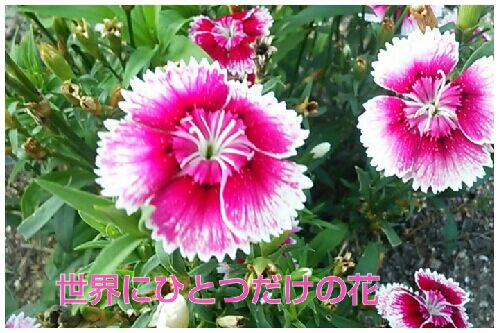 rblog-20160708063227-00.jpg