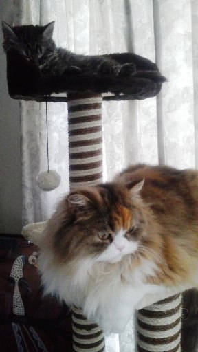 20140414114553.jpg