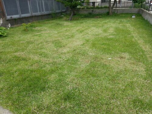 rblog-20160713112209-00.jpg