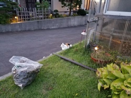 rblog-20180828002655-01.jpg