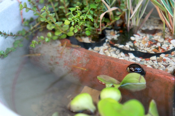 150628_02.jpg